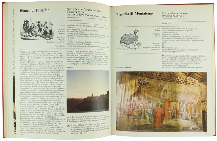 LA MIA CANTINA [grande, ottimo volume]