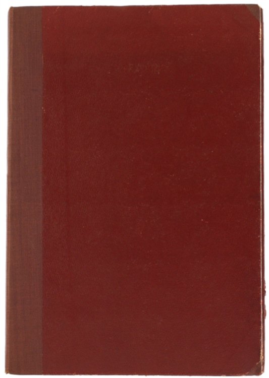 LA NEIGE SUR LES PAS. Roman.