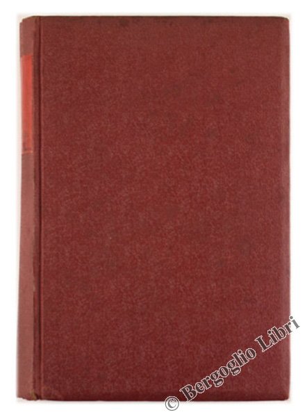 LA ROCCA SULL'ONDA. Romanzo.