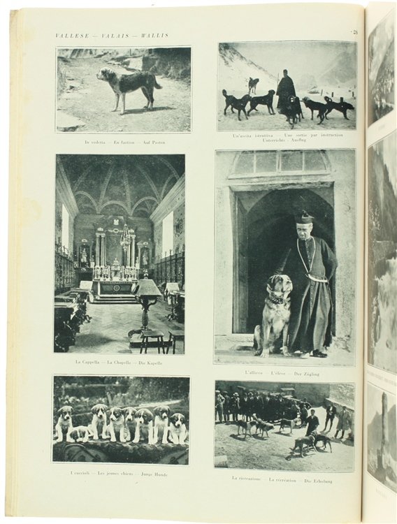 LA SVIZZERA - LA SUISSE - DIE SCHWEIZ.