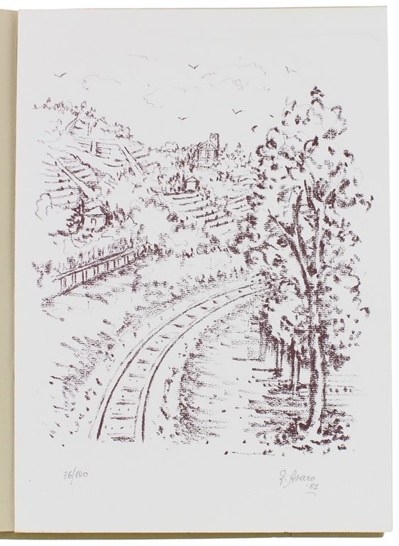 LA TELA DELLA VIGNA. Poesie scritte e disegnate di Franco …