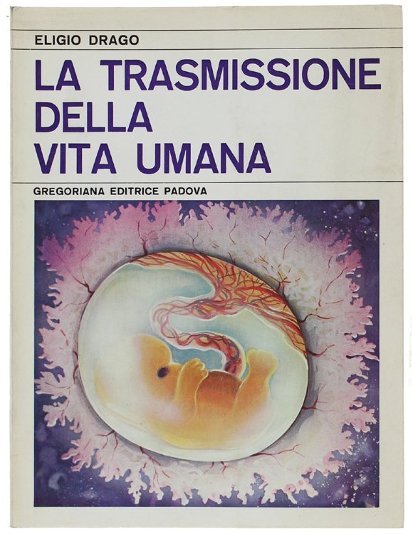 LA TRASMISSIONE DELLA VITA UMANA. Un'informazione sessuale per l'adolescente. | Immagine Gallery 2