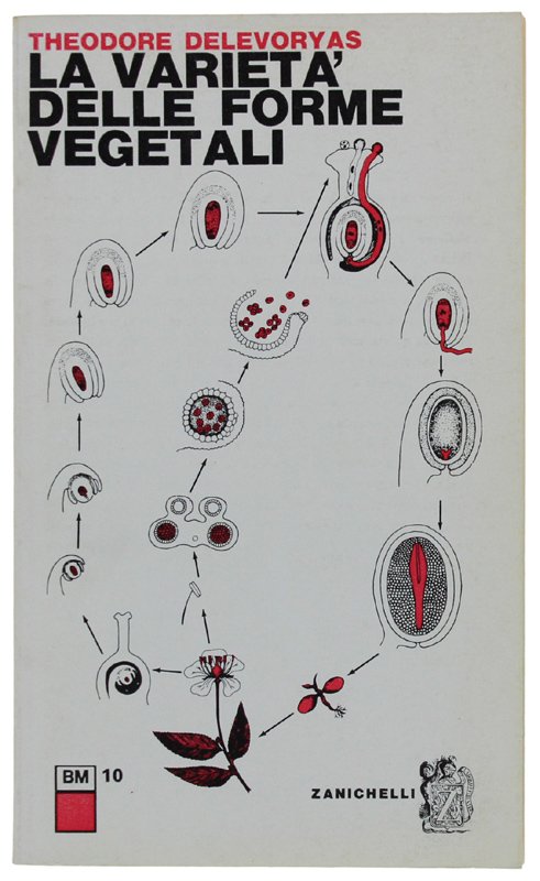 LA VARIETA' DELLE FORME VEGETALI [volume come nuovo] | Immagine principale