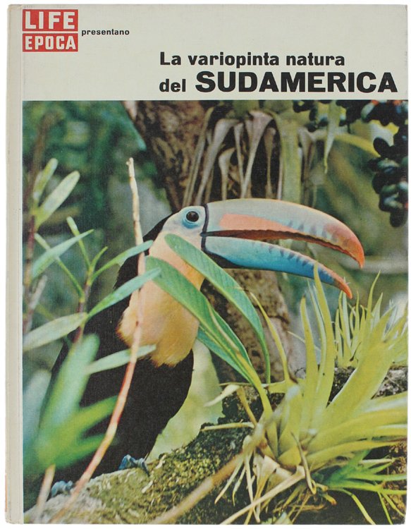 LA VARIOPINTA NATURA DEL SUD AMERICA.