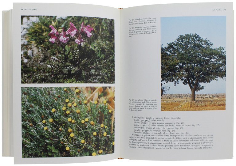 LA VITA DELLE PIANTE. Con un saggio di Paolo Pupillo