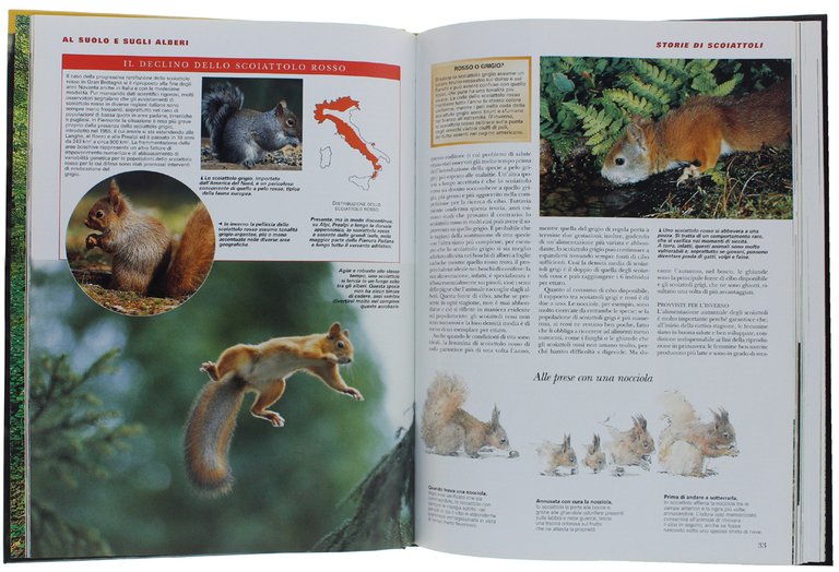 LA VITA SEGRETA DEL BOSCO.