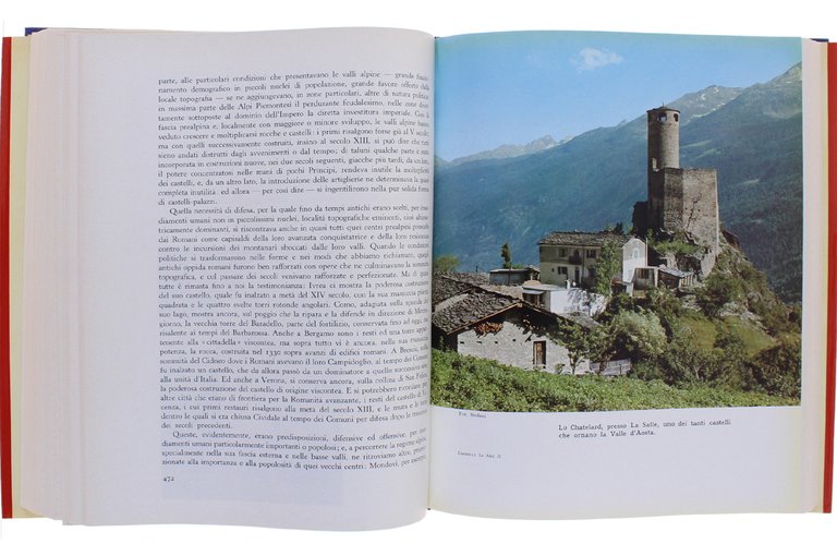 LE ALPI. Volume I: L'ambiente naturale - Volume II: L'ambiente …
