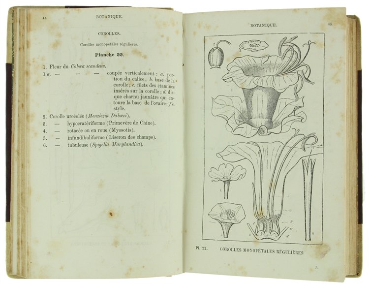 LE BON JARDINIER. Almanach Horticole pour l'Année 1876. Volume I …
