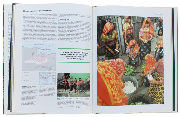 LE FORESTE DELLA PIOGGIA. Le ultime foreste tropicali. In collaborazione …