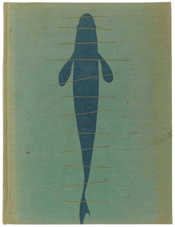 LE GIOIE DELLA PESCA.