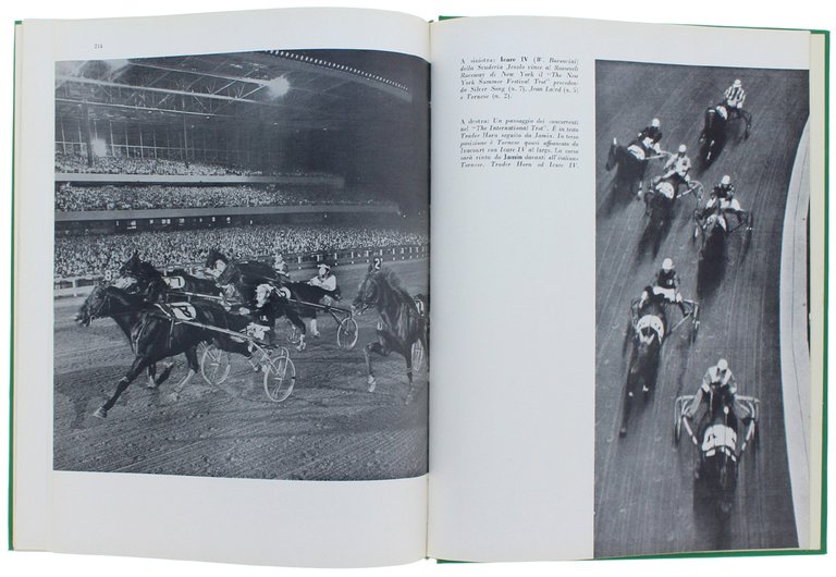 LE GRANDI PROVE IPPICHE. Annuario illustrato dello sport ippico. Anno … | Immagine Gallery 6