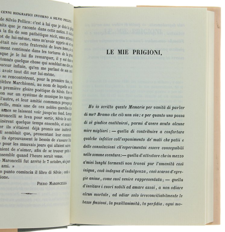 LE MIE PRIGIONI