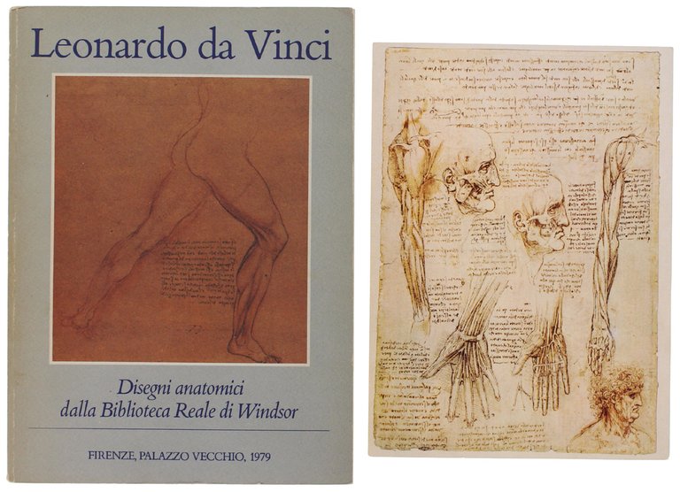 LEONARDO DA VINCI. DISEGNI ANATOMICI DALLA BIBLIOTECA REALE DI WINDSOR. | Immagine Gallery 4