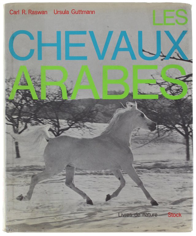 LES CHEVAUX ARABES.
