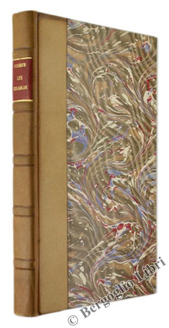 LES OISEAUX DANS LE REGNE ANIMAL