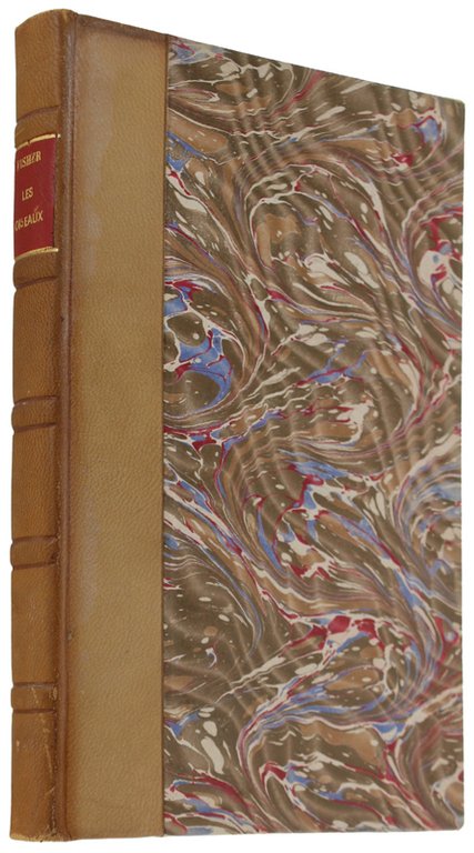 LES OISEAUX DANS LE REGNE ANIMAL