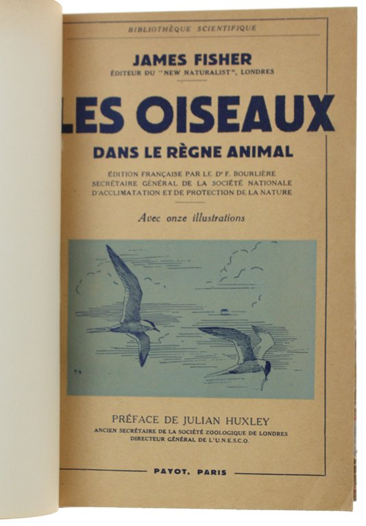 LES OISEAUX DANS LE REGNE ANIMAL