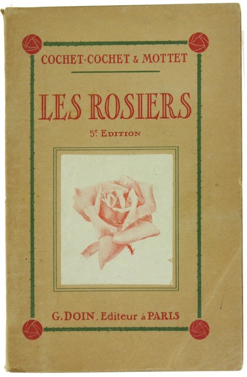 LES ROSIERS. Historique, classification, nomenclature, descriptio, culture en pleine terre … | Immagine Gallery 2