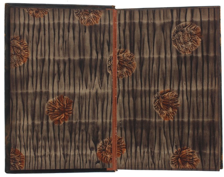 LES SURPRISES DU COEUR [exemplaire sur parchemin]