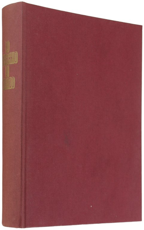 LO SPECCHIO DI TORINO.