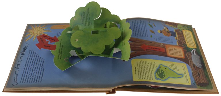 MA TERRE, COMMENT ELLE MARCHE ? | Immagine Gallery 3