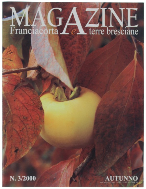 MAGAZINE FRANCIACORTA & TERRE BRESCIANE. N. 3/2000.
