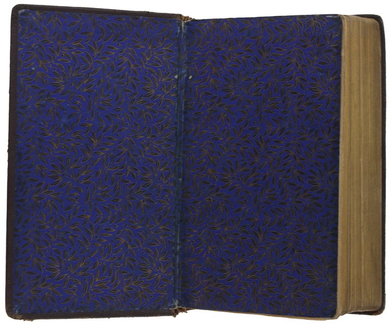 MANUALE DI FILOTEA [con 5 tavole in cromolitografia]