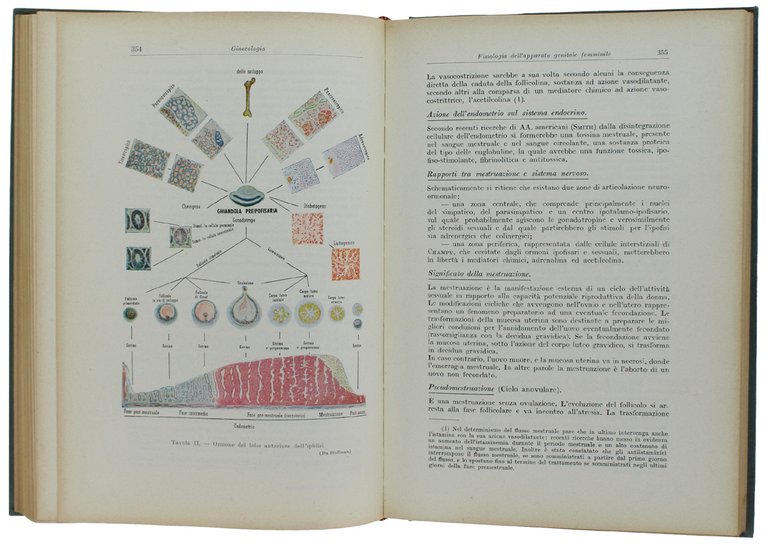 MANUALE DI OSTETRICIA E GINECOLOGIA