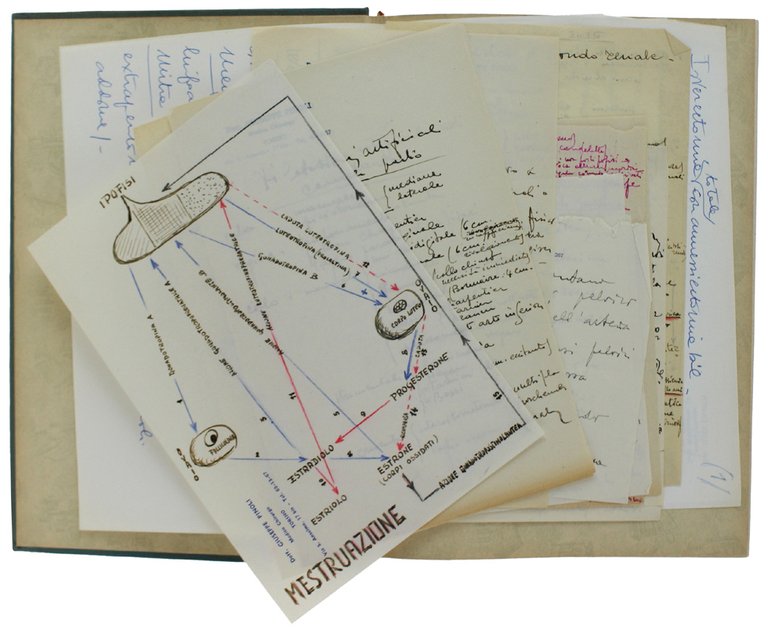 MANUALE DI OSTETRICIA E GINECOLOGIA