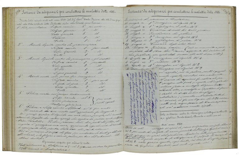 MEMORIALE: raccolta di note manoscritte relative alle cascine "TETTO MADAMA" …