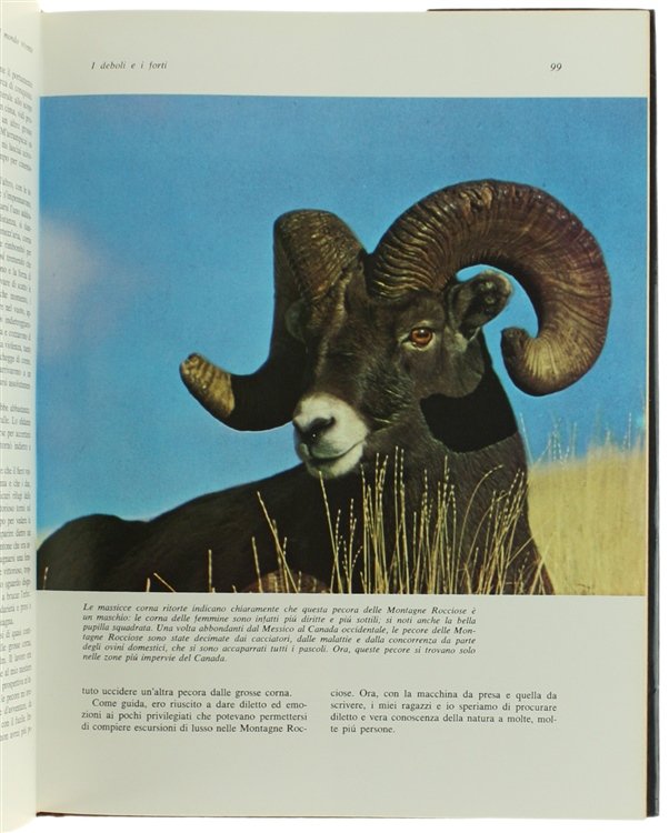 MERAVIGLIE E SEGRETI DEL MONDO VIVENTE [volume ottimo]