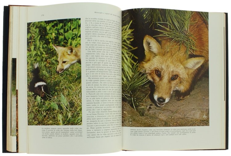 MERAVIGLIE E SEGRETI DEL MONDO VIVENTE [volume ottimo]