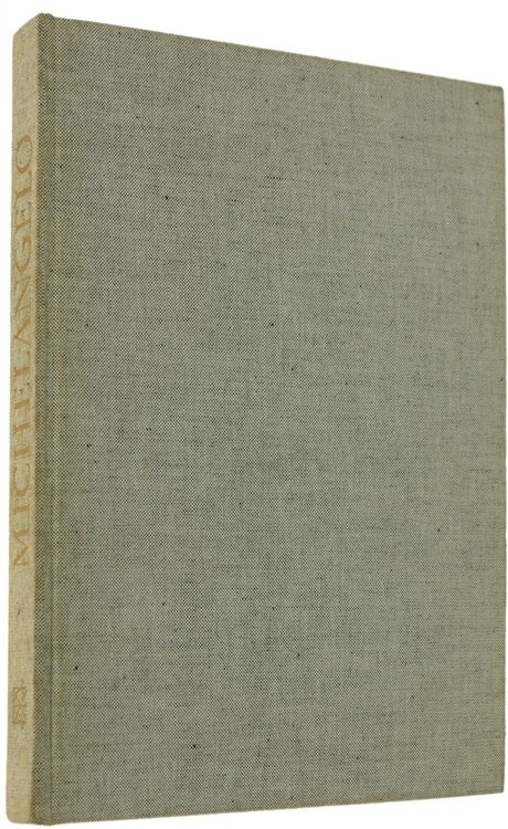 MICHELANGELO PITTORE.