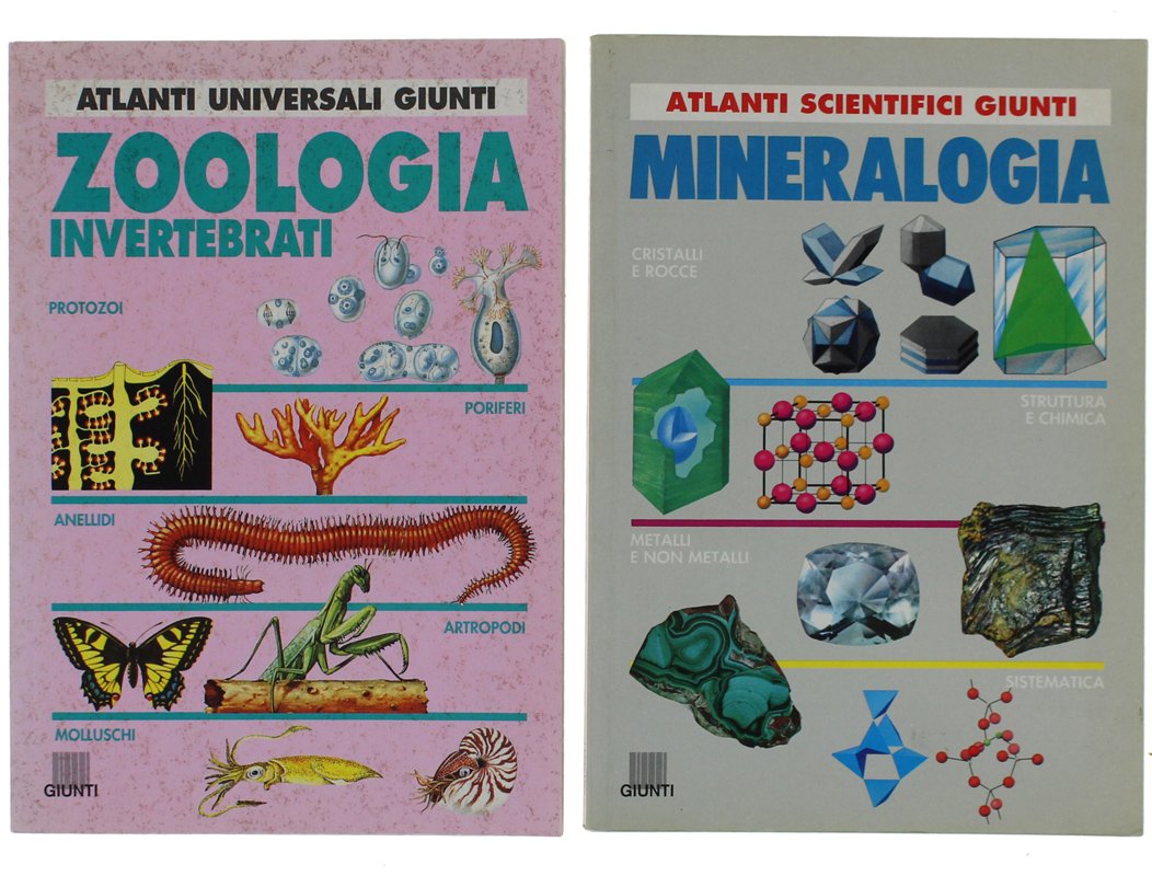 MINERALOGIA + ZOOLOGIA / INVERTEBRATI | Immagine principale