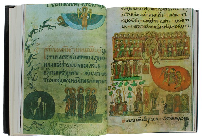 MINIATURA ROMANEASCA | Immagine Gallery 4