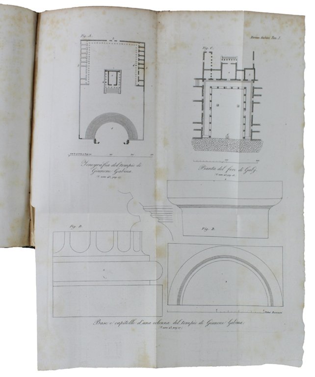 MONUMENTI GABINI DELLA VILLA PINCIANA descritti da Ennio Quirino Visconti, …