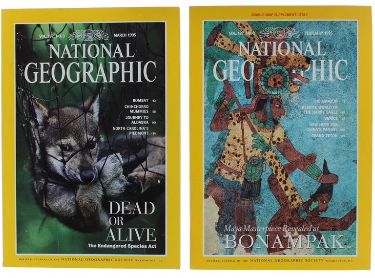 NATIONAL GEOGRAPHIC MAGAZINE - Annata 1995 completa (edizione in lingua …