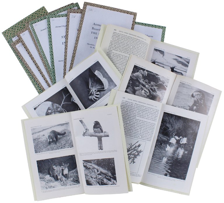 NATURA, ZOLOGIA, BIOLOGIA DEGLI ANIMALI e argomenti connessi: 16 memorie …