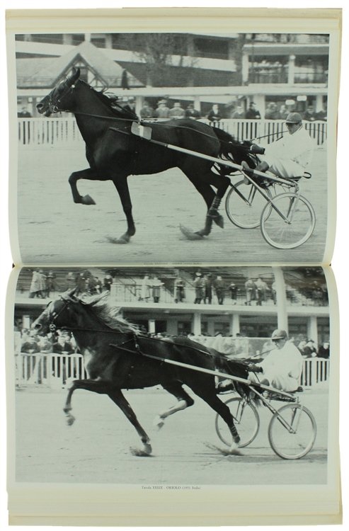 NEL MONDO DEL TROTTO. | Immagine Gallery 4