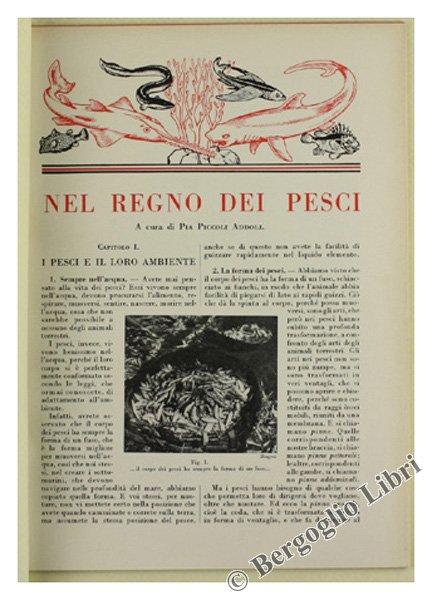 NEL REGNO DEI PESCI.