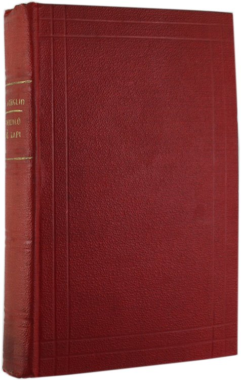 NICCOLO' DE' LAPI ovvero i Palleschi e i Piagnoni.