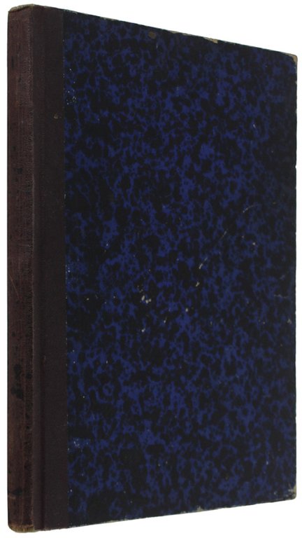 NICCOLO' DE' LAPI ovvero i Palleschi e i Piagnoni.