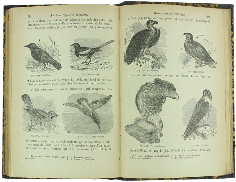 NIOVA CRESTOMAZIA TECNICA FRANCESE. Dialoghi e letture in Prosa e …