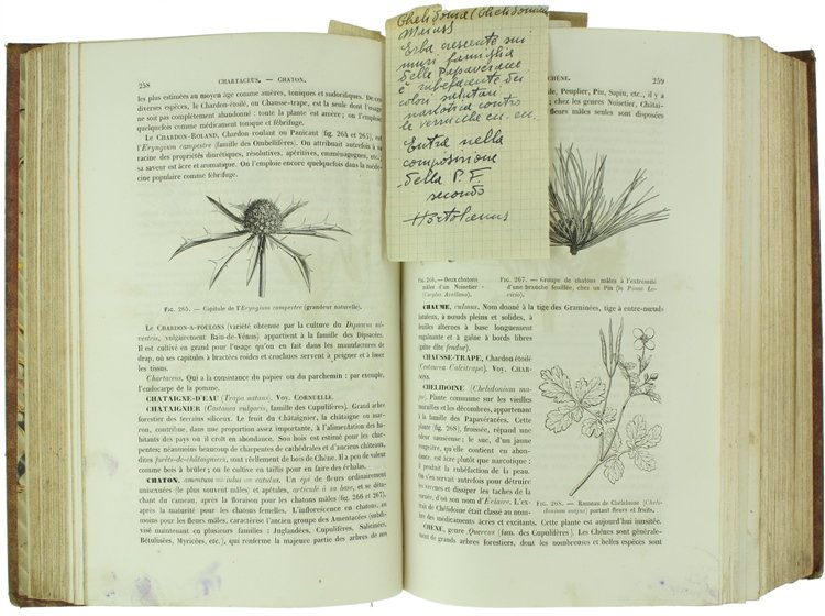 NOUVEAU DICTIONNAIRE DE BOTANIQUE comprenant la description des familles naturelles, …