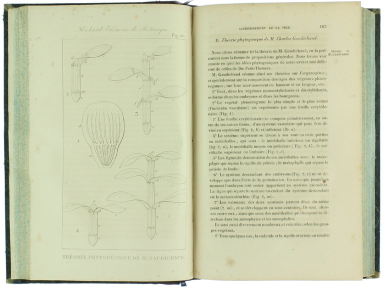 NOUVEAUX ELEMENS DE BOTANIQUE ET DE PHYSIOLOGIE VEGETALE. Sixième édition … | Immagine Gallery 5