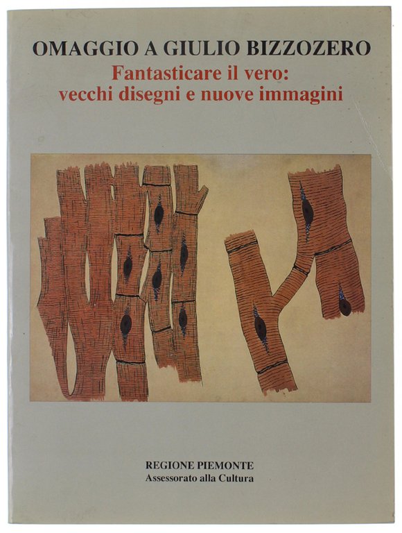OMAGGIO A GIULIO BIZZOZERO. Fantasticare il vero: vecchi disegni e …