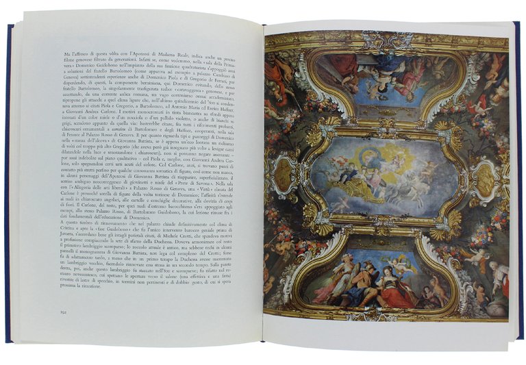 PALAZZO MADAMA IN TORINO.