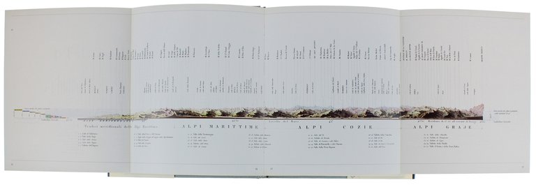 PANORAMA DELLE ALPI DALLA PIANURA.