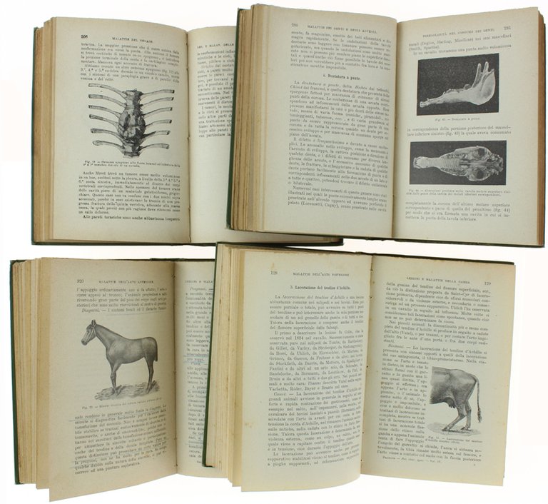 PATOLOGIA E TERAPIA CHIRURGICA SPECIALE. Volume I - II - …