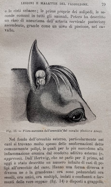 PATOLOGIA E TERAPIA CHIRURGICA SPECIALE. Volume I - II - …